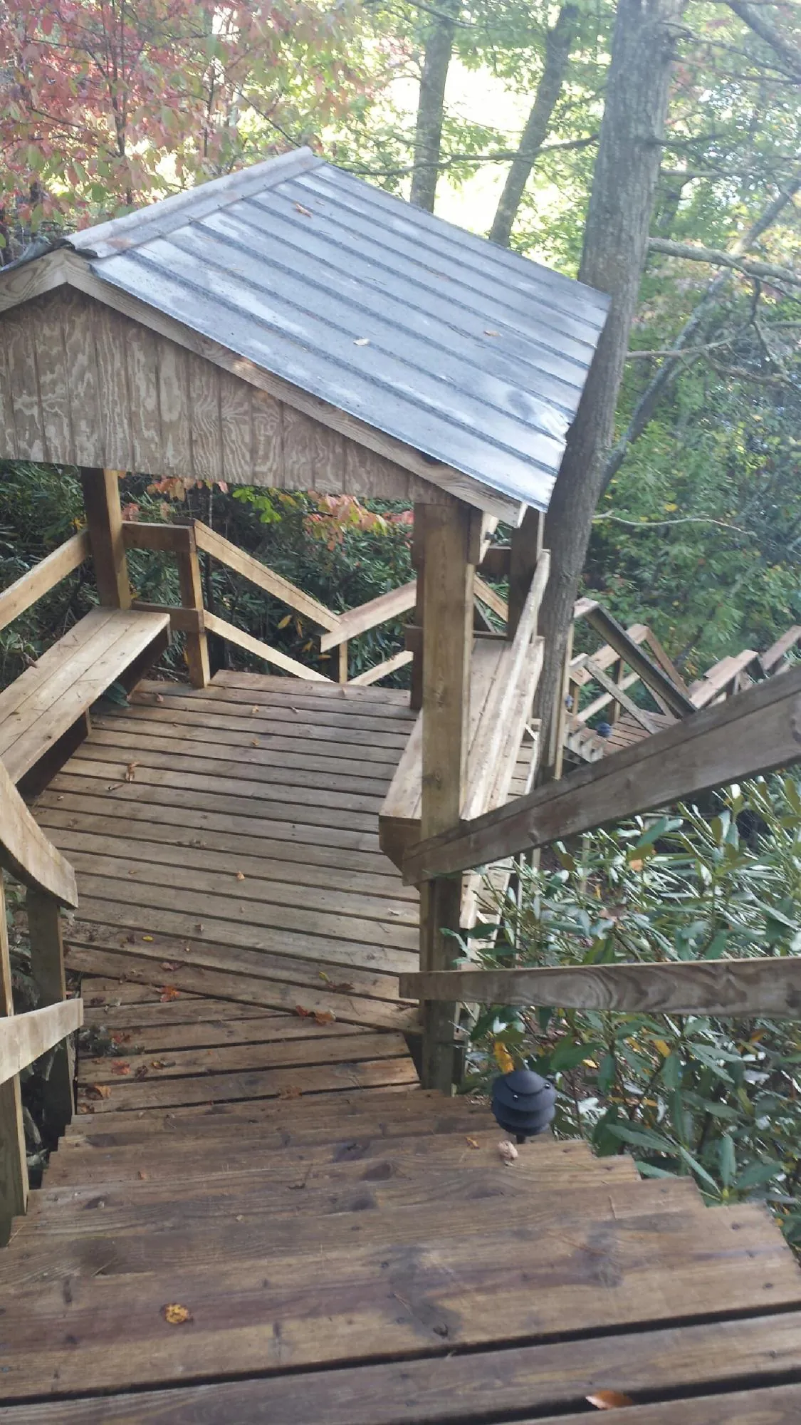 Metal roofed shelter over wooden steps on a wooded walkway — Skylight Repair & Installation work by our crew in Morley