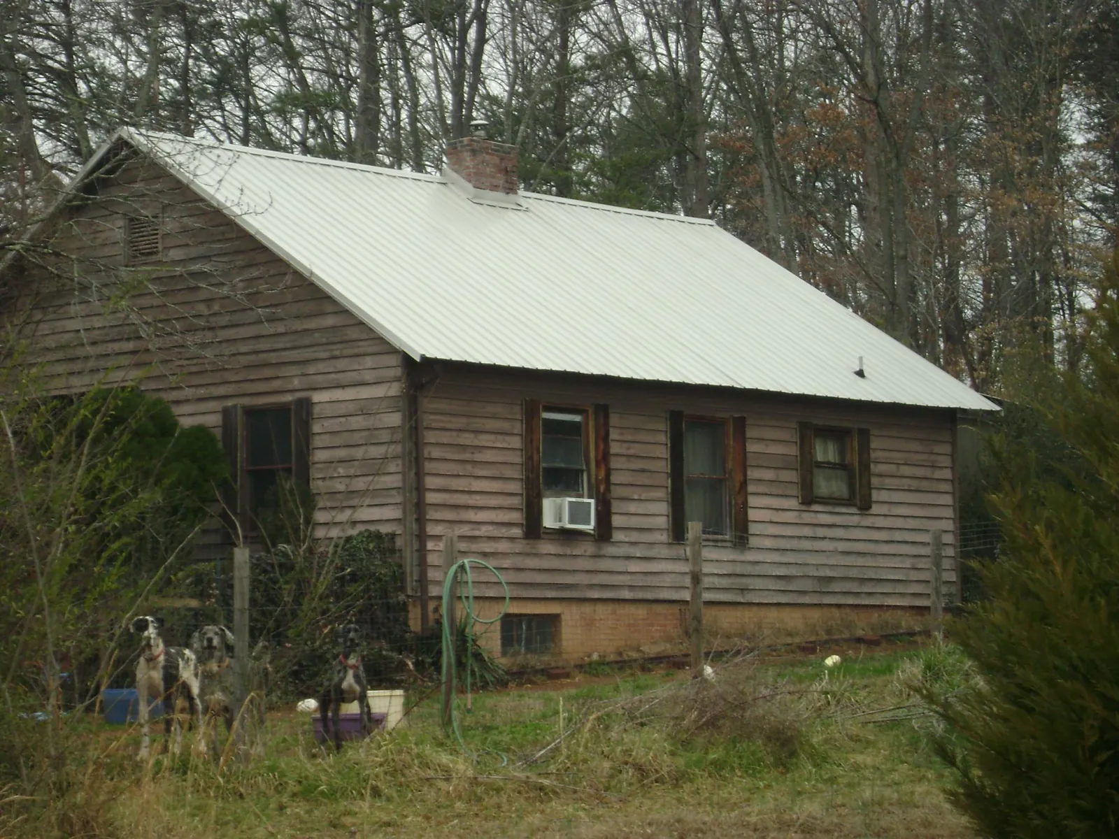 White metal roof on an old wood sided farmhouse, from a Asphalt Shingle Roof Repair job in Morley